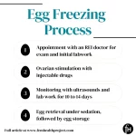 Egg+Freezing+Process