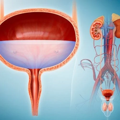 Bladder Control by Age: What to Expect