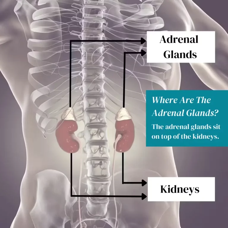 Adrenal Adenoma: What Every Patient Should Know